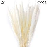 zzJiaCzs Artificial Grass Reed,25Pcs/Set Natural Dried Pampas Grass Reed for Home Wedding Decor Phot | Amazon (US)