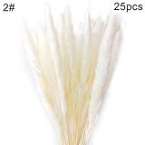zzJiaCzs Artificial Grass Reed,25Pcs/Set Natural Dried Pampas Grass Reed for Home Wedding Decor Phot | Amazon (US)