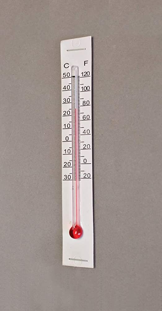 Little Giant Incubator Thermometer Kit Temperature Measure for Inside Incubator When Incubating E... | Amazon (US)