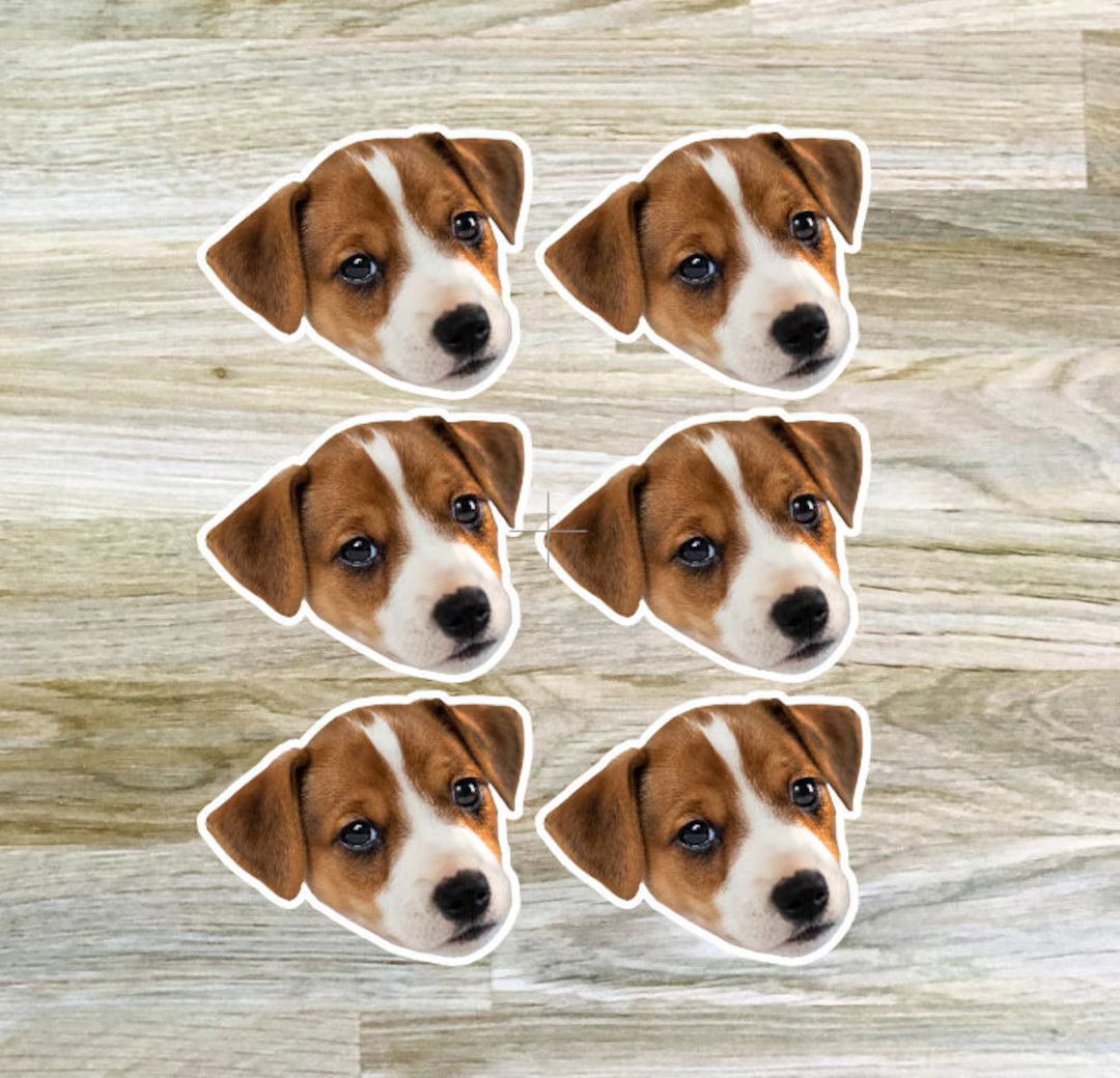 Custom Photo Stickers, Personalized Pet Stickers, Custom Face Stickers, Birthday Party Decor, Bac... | Etsy (US)