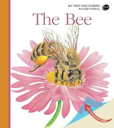 The Bee (My First Discoveries) | Amazon (US)