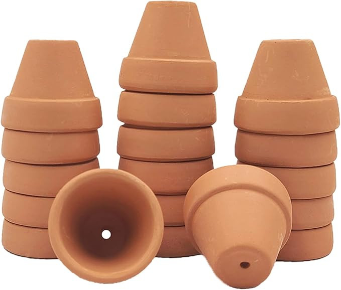 Yishang Mini Terracotta Pots with Drainage Holes - 1.2 inches Succulent Cactus Nursery Planter,Ti... | Amazon (US)