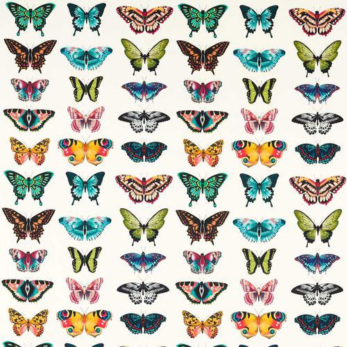 Harlequin Papilio Flamingo/Papaya/Loganberry Fabric | DecoratorsBest | DecoratorsBest