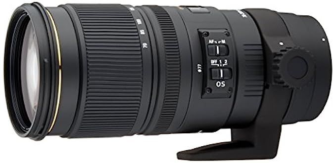 Sigma 70-200mm f/2.8 APO EX DG HSM OS FLD Large Aperture Telephoto Zoom Lens for Nikon Digital DSLR  | Amazon (US)