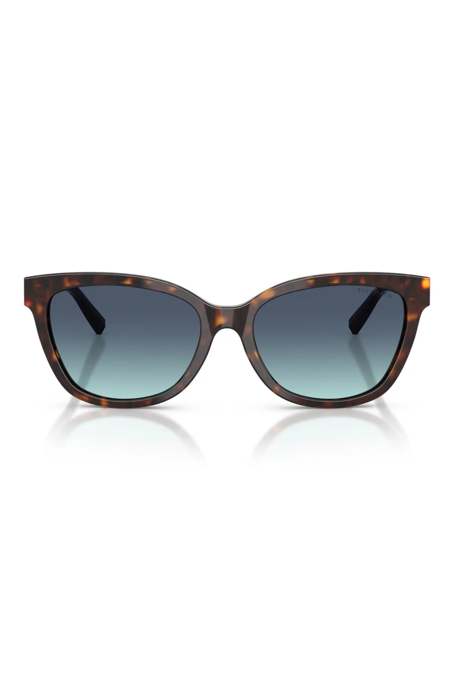 55mm Gradient Cat Eye Sunglasses (Women) | Nordstrom | Nordstrom