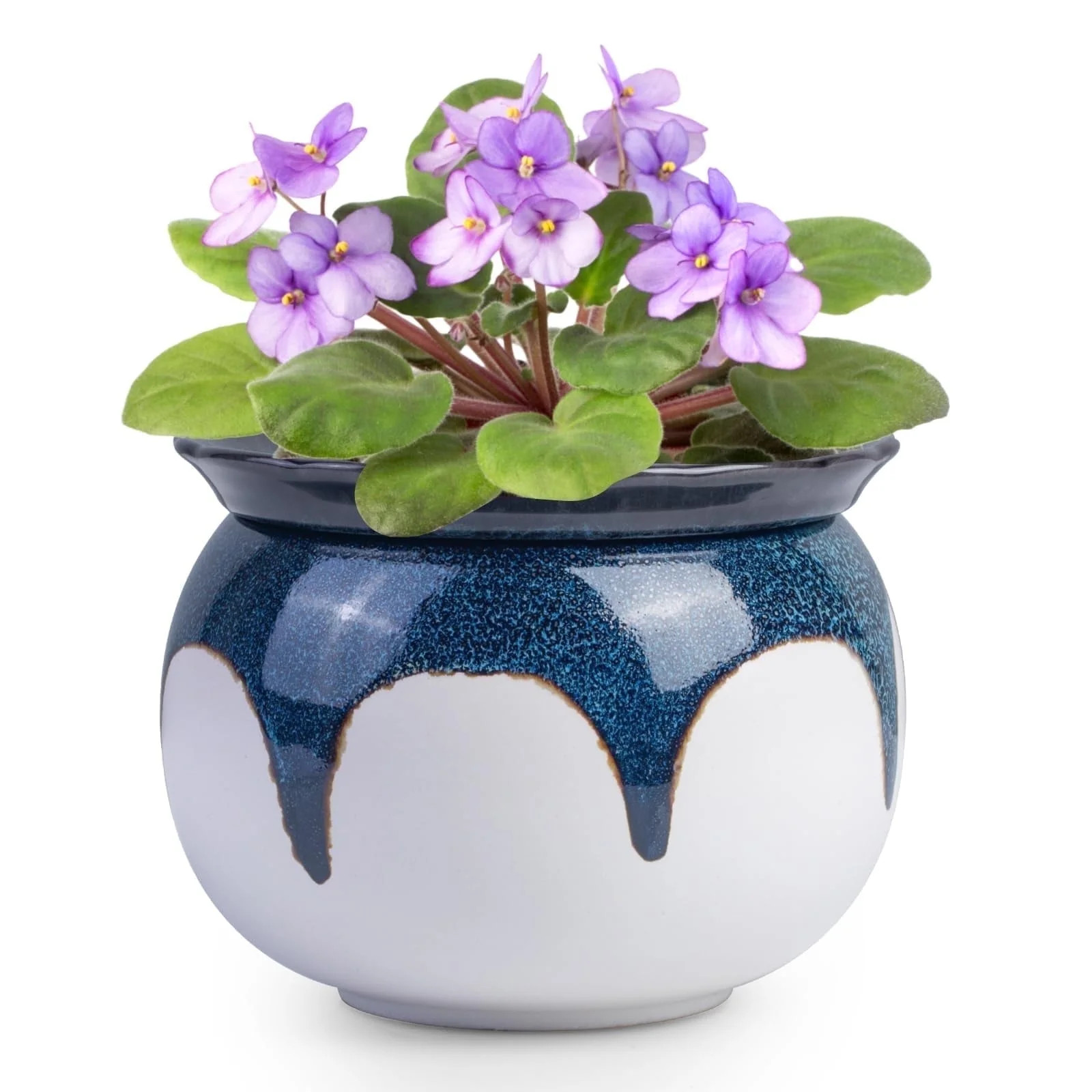 EFISPSS 6" Self-Watering Ceramic African Violet Pots – Blue Gradient | Minimalist Home Decor | Walmart (US)