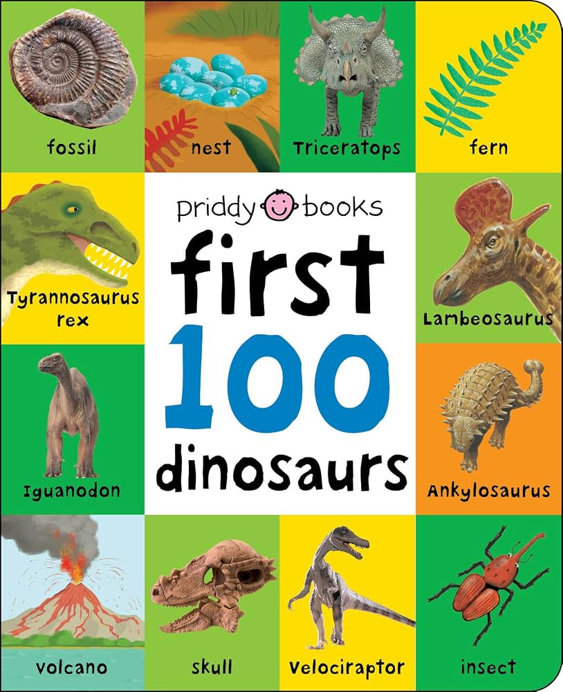 First 100 Padded: First 100 Dinosaurs: An early introduction to our pre-historic world! | Amazon (US)