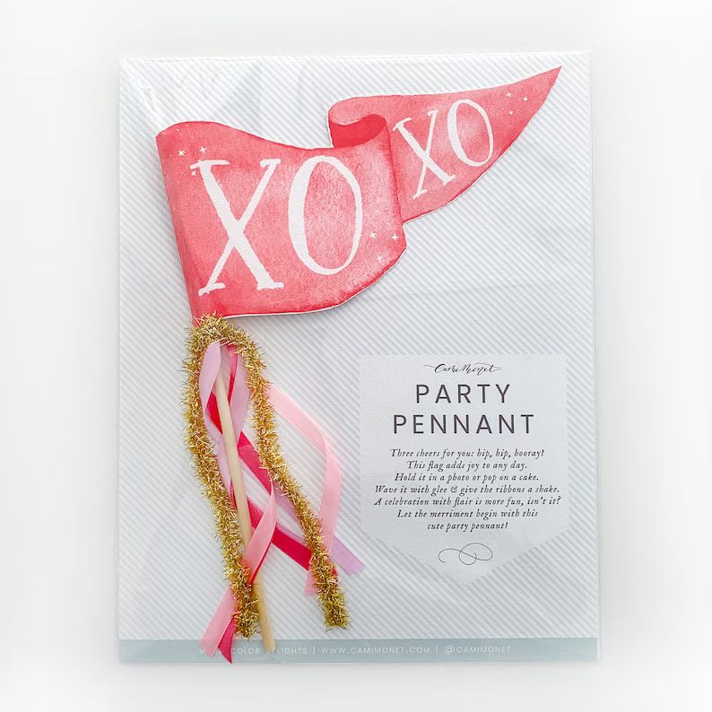 XOXO Pennant Flag | Valentine's Day Party Pennant | Valentine's Day Photo Prop | Valentine's Day ... | Etsy (CAD)