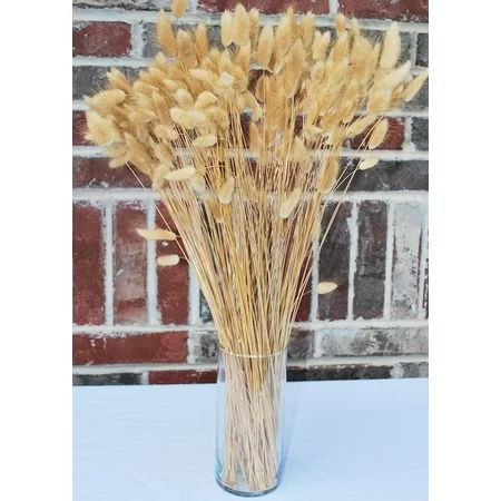 Dried Bunny Tails Grass Natural Blond 4 oz bunch -- Single Bunch | Walmart (US)