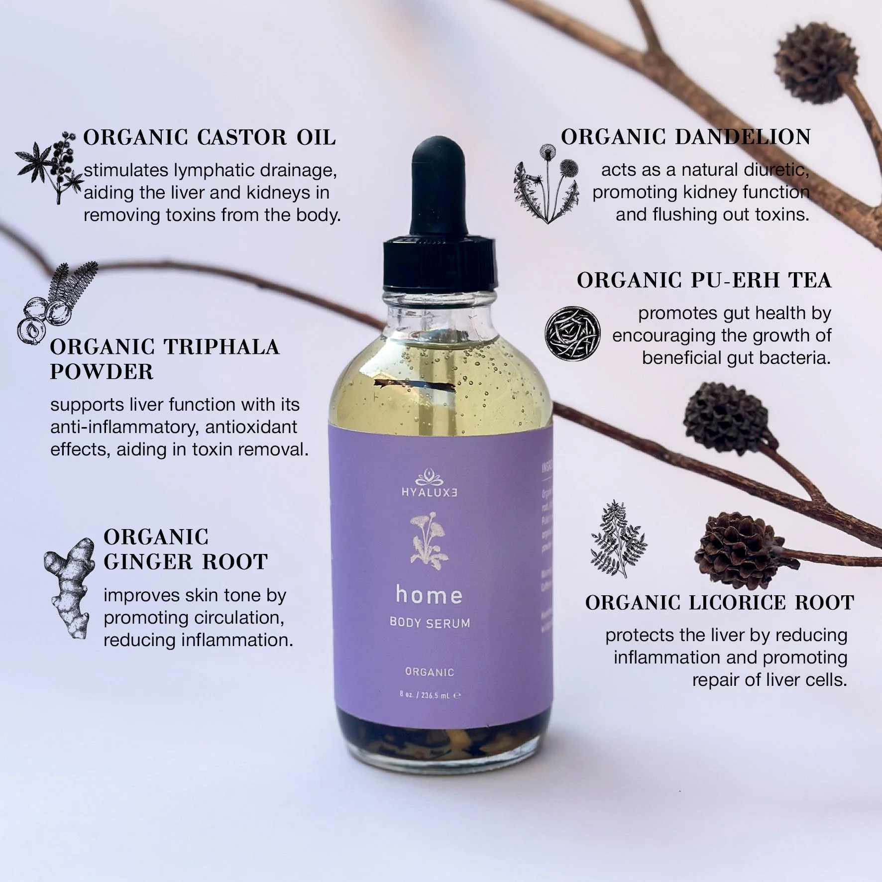 HOME: Enhanced Castor Oil Serum for Digestive and Lymphatic Health | Hyaluxe Body