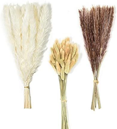 Timoo 80PCS Dried Pampas Grass Decor Bunny Tails Dried Flowers Bouquet Set (15Pcs White Pampas Gr... | Amazon (US)