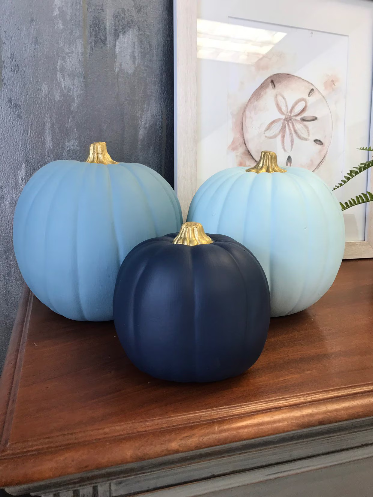 Back In Stock  Small Navy Blue Pumpkin Nautical Coastal Beach | Etsy | Etsy (US)