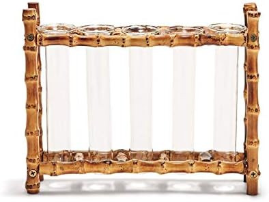 Two's Company Natural Bamboo Vase Includes 5 Glass Tubes | Amazon (US)