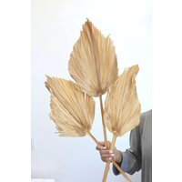 Set Of 3 Large Palm Leaves, Dried Palms, Sun Palm Leaves, Wedding Flowers, Home Decor, Boho Wedding, Leaf, Gift | Etsy (US)