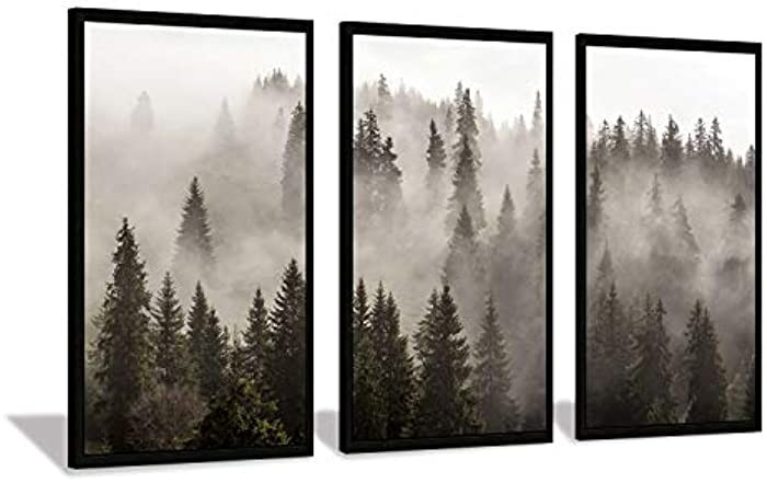 Foggy Forest Wall Art Framed: Natural Misty Mountain Landscape Artwork Print on Canvas Painting f... | Amazon (US)