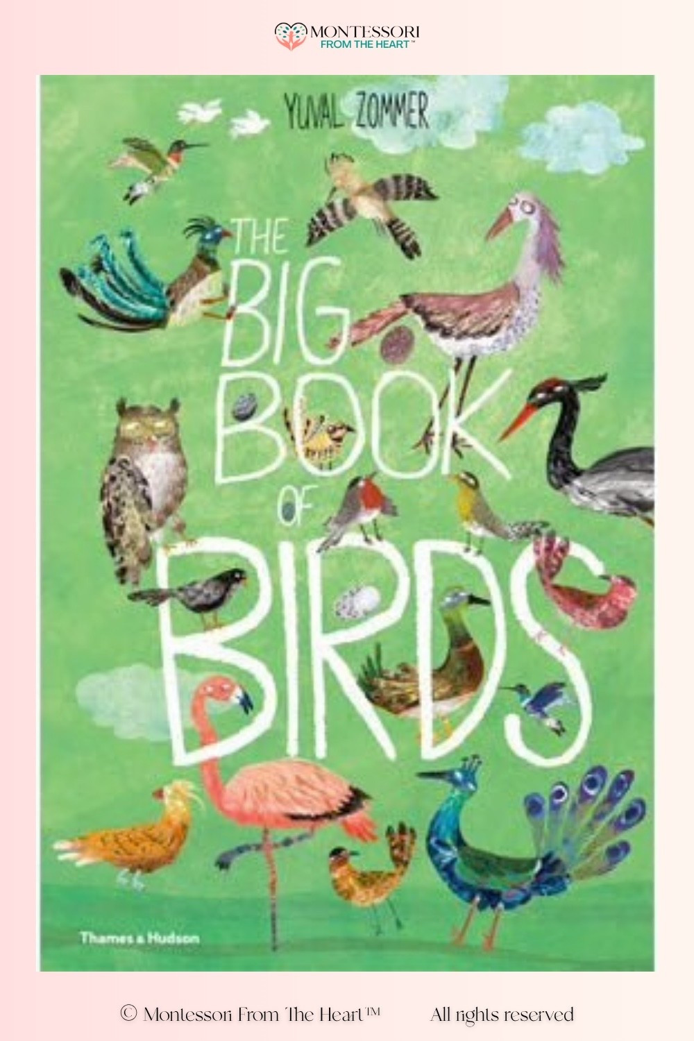 The Big Book of Birds 

#LTKstorytime #LTKKids #LTKHome