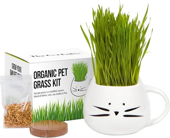 Organic Cat Grass Growing kit with Organic Seed Mix, Organic Soil and Cat Planter. Natural Hairba... | Amazon (US)