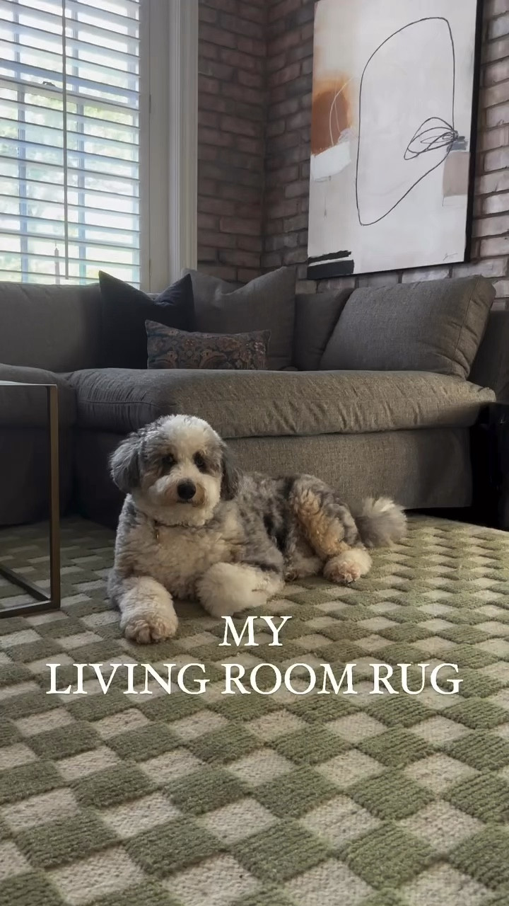 My living room rug is on major sale! Like major. 🤯 Linked some similar less expensive options as well. 


#LTKSaleAlert #LTKFindsUnder100 #LTKHome