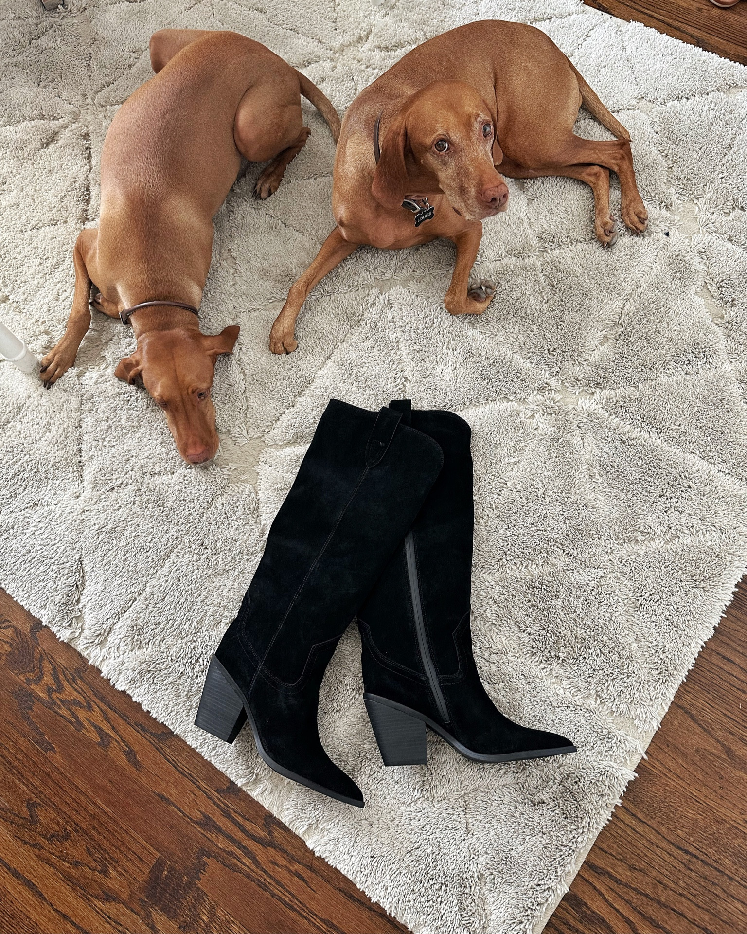 A fave pair of boots in the #nsale. 
So cute with dresses for fall and also super comfy  

#LTKshoecrush #LTKxNSale #LTKsalealert