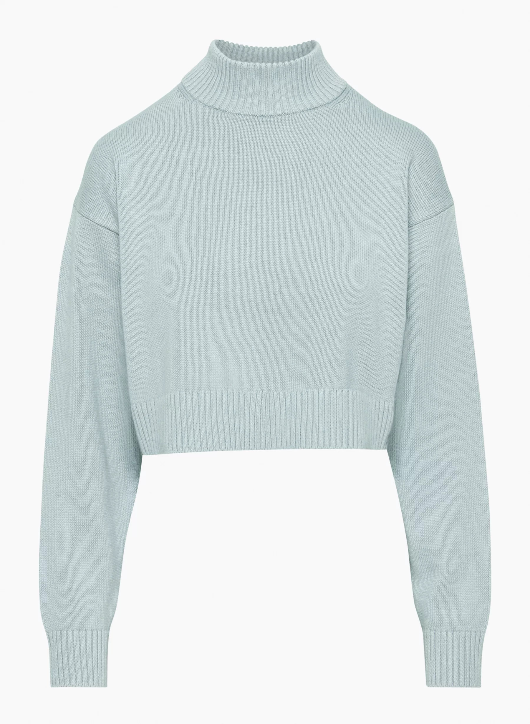 SCOTTIE TURTLENECK | Aritzia