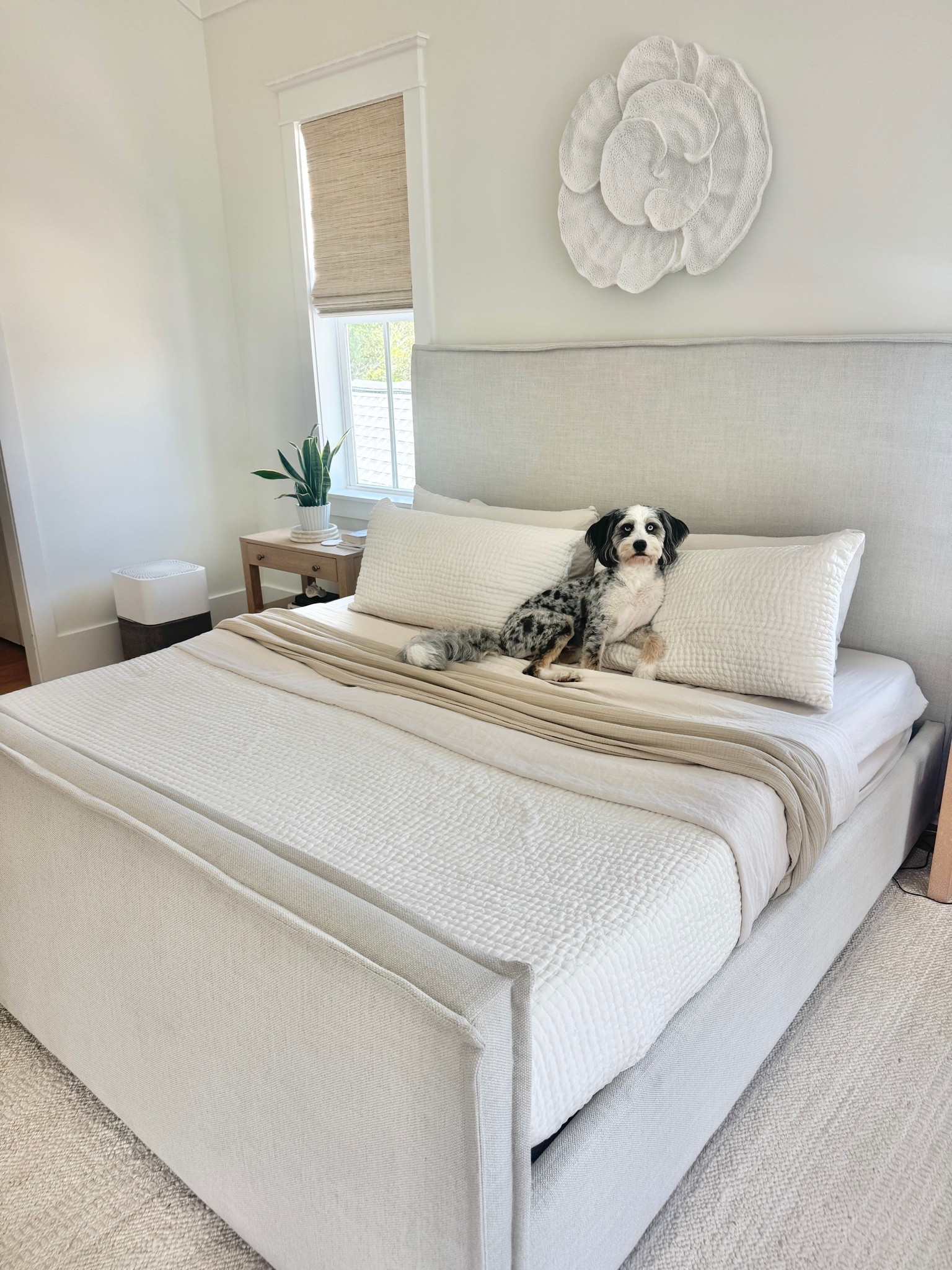 Spring bedding refresh!

#LTKHome