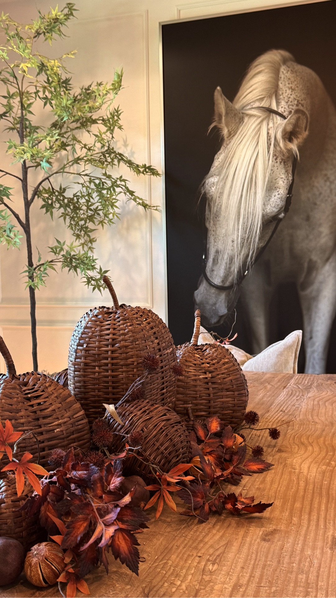 Dining room views! 🍂
.
NOTE: My dining table has been discontinued and my rug is 1 of 1. I linked similar options!

#LTKHome #LTKU #LTKstorytime