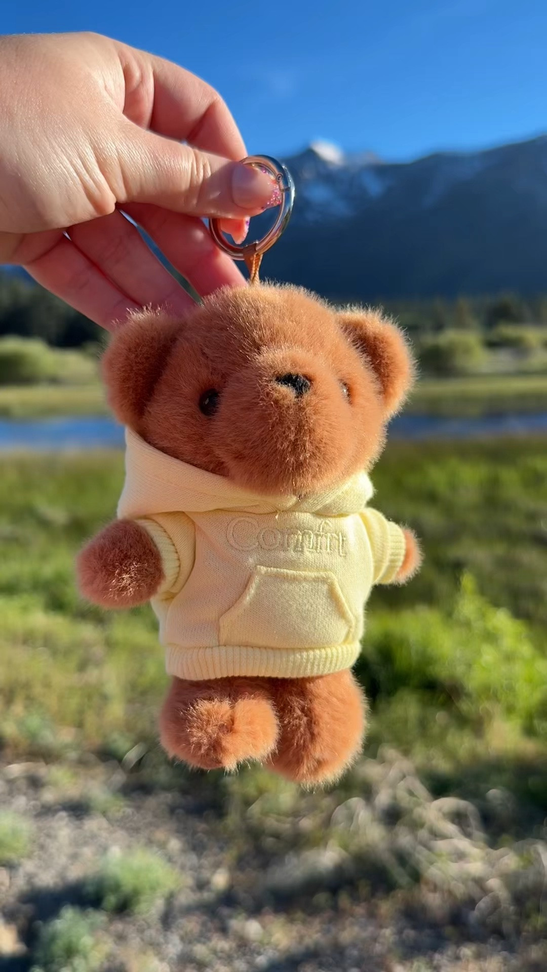 Teddy bear bag charm

#LTKmomlife #LTKKids #LTKTravel