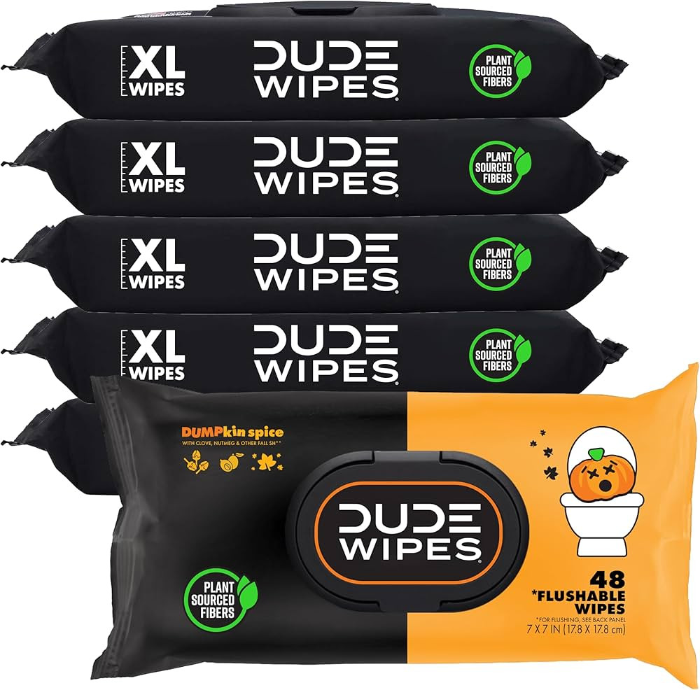 DUDE Wipes - Flushable Wipes - 6 Pack, 288 Wipes - DUMPkin Spice with Clove, Nutmeg, and Other Fa... | Amazon (US)