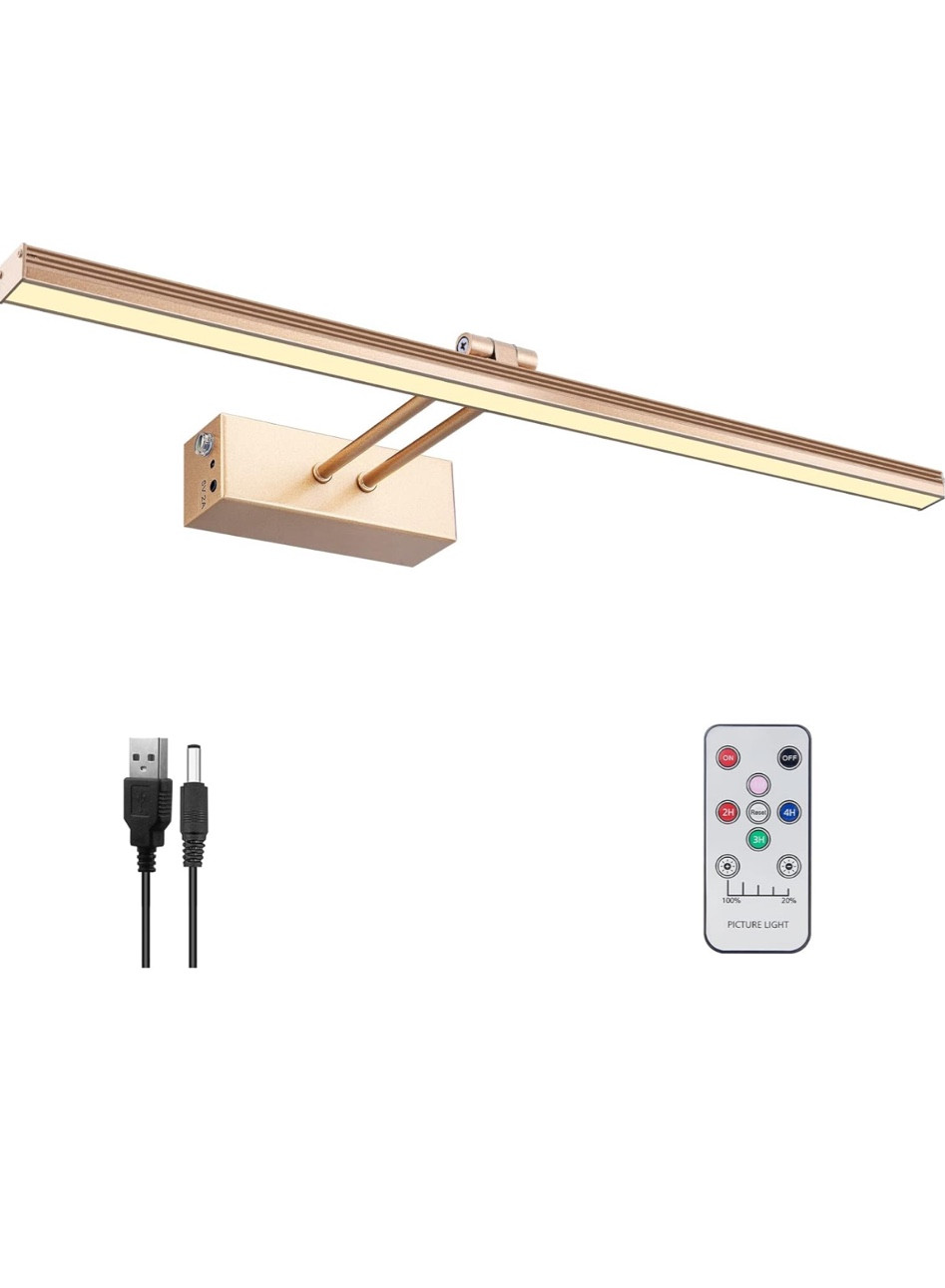 Our amazon picture light for our homeschool set up is on sale 💡

#LTKHome #LTKFindsUnder50 #LTKBacktoSchool