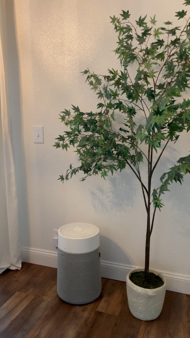 We FINALLY invested in some air purifiers for our main living area and our bedroom! The Blueair purifier is great if you have pets like we do 🐾 BOTH ARE CURRENTLY  ON SALE FOR BLACK FRIDAY!!

#LTKCyberWeek #LTKsalealert #LTKVideo