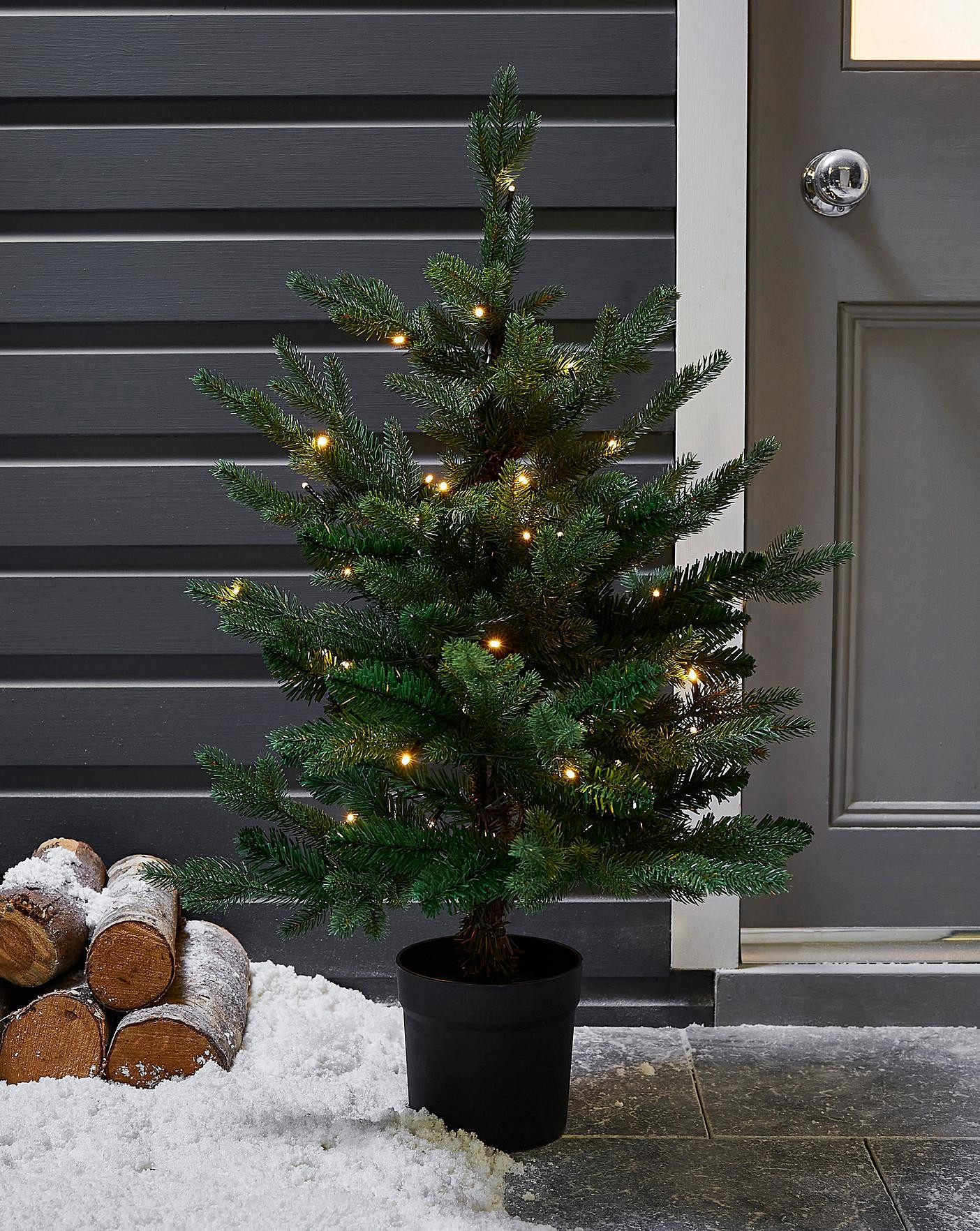 Potted Real-Look Yukon Tree | JD Williams (UK)