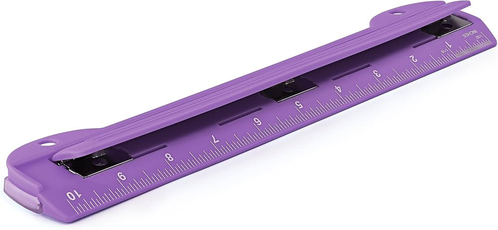 3 Hole Punch Purple, Portable Hole Puncher for 3 Ring Binder, 3 Sheets Capacity, Removable Chip T... | Amazon (US)