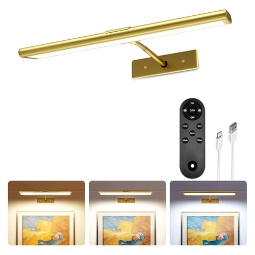 EZVALO Picture Light for Wall, 4800mAh Rechargeable Wireless Remote, 13in Dimmable Magnetic LED Art Display Light with 3 Color Temperatures, for Gallery, Living Room, Bedroom, Hallway (Gold) | Amazon (US)