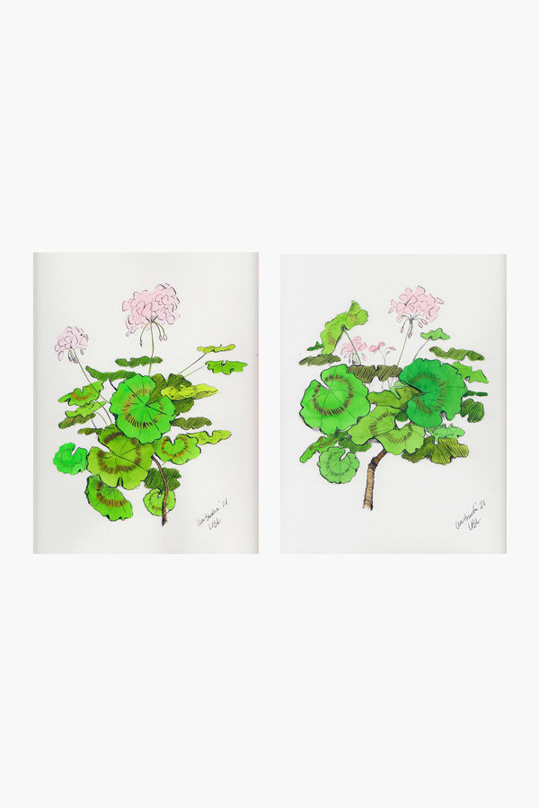 Light Pink Geraniums Set of 2 Prints | Tuckernuck (US)