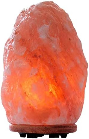 The Body Source Himalayan Salt Lamp 8-10 inches (7-11Ib), Includes Lamp Dimmer Switch and Night L... | Amazon (US)