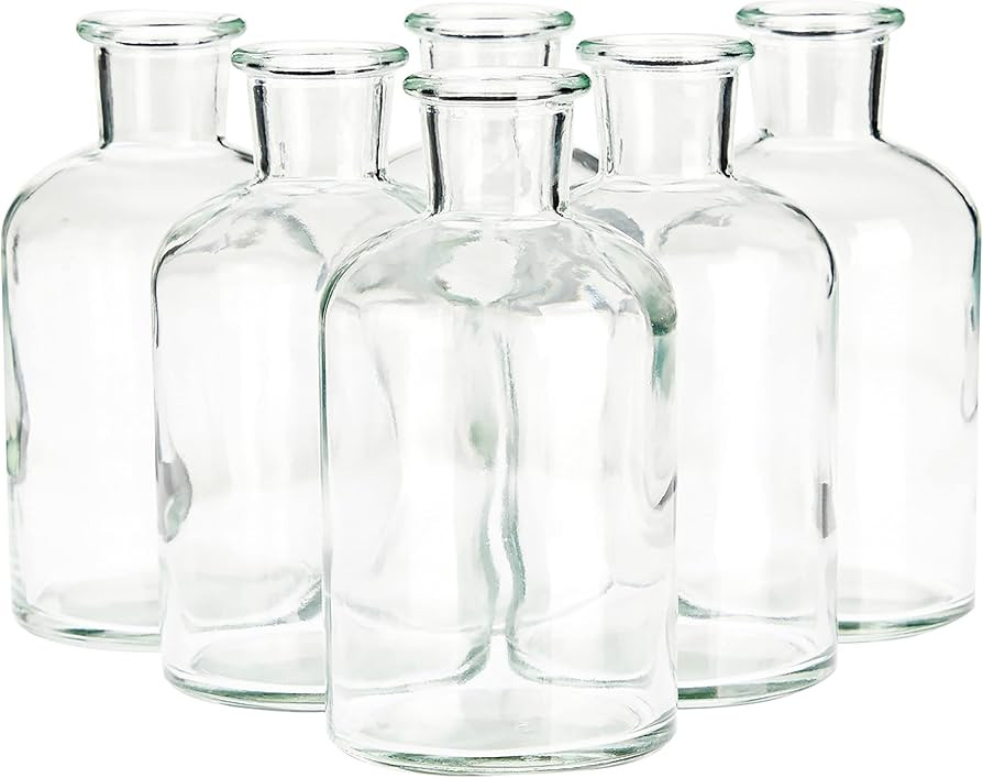 6 Pack Small Glass Vases for Centerpieces, Clear 7.5 oz Propagation Jars for Flowers, Table Cente... | Amazon (US)
