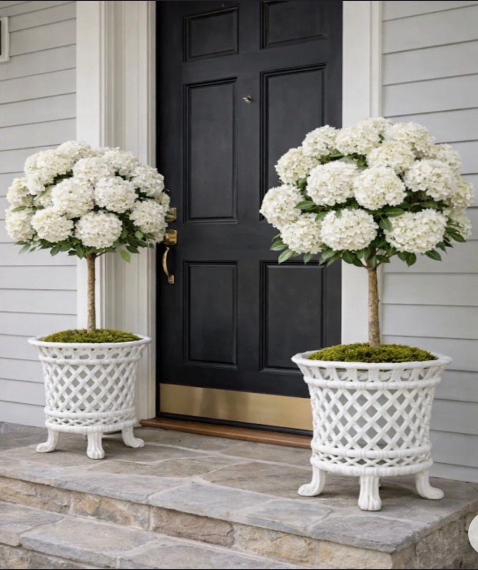 The prettiest lattice footed planters 🤩🤍

Outdoor decor, outdoor planters, white planter pots, wayfair finds

#LTKSeasonal #LTKHome #LTKSaleAlert
