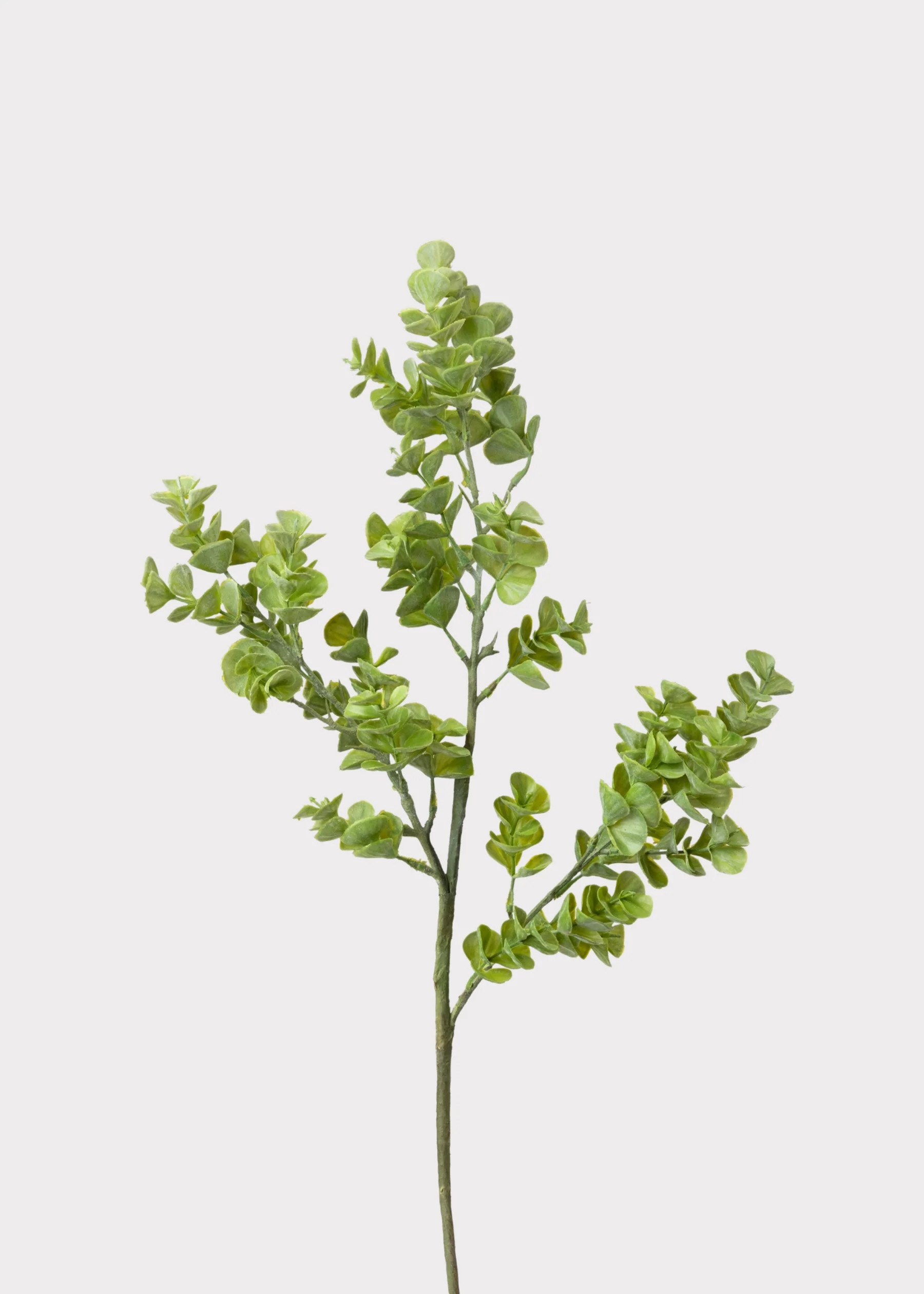 Real Touch Eucalyptus Branch | Best Faux Greenery Stems | Afloral | Afloral