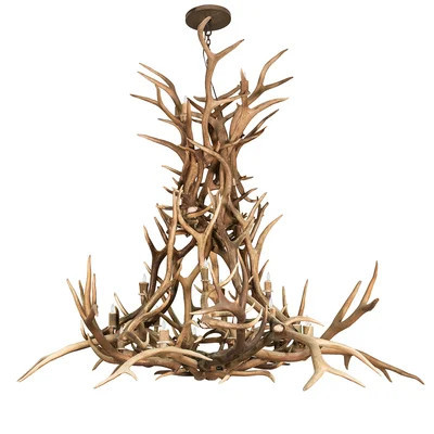 Antlers Elk 20 Light Chandelier | Wayfair North America