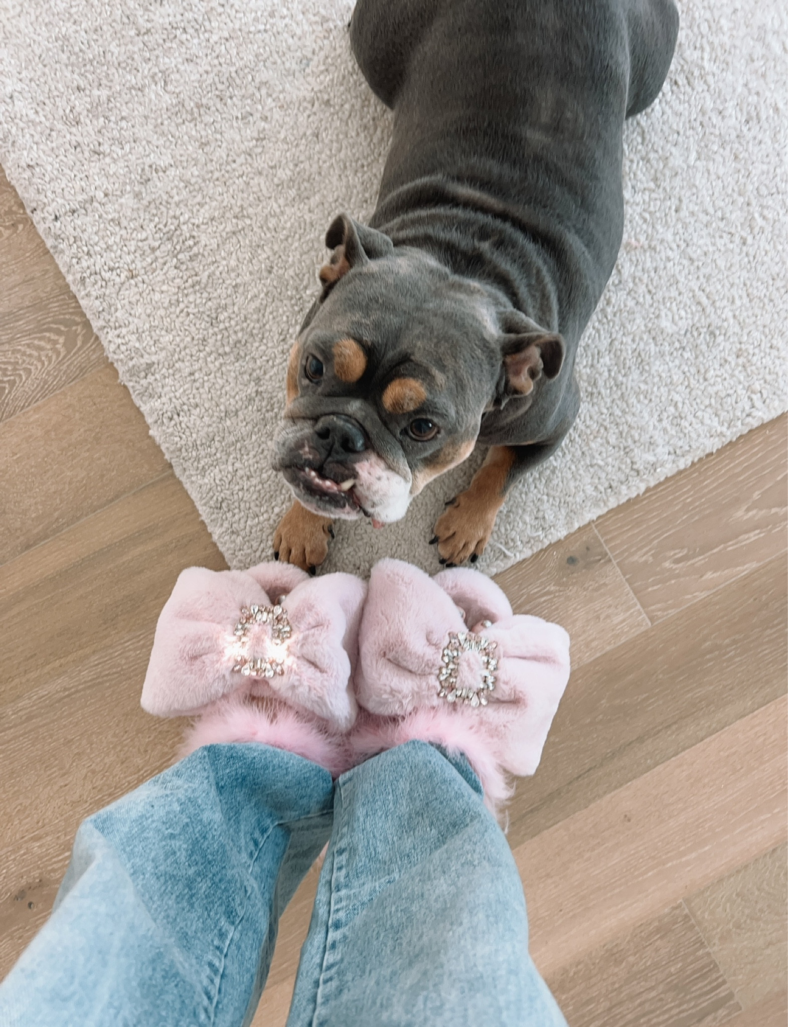 Morning snuggles with the comfiest slippers along with my furry friend✨💗

#LTKGiftGuide #LTKMostLoved #LTKSeasonal