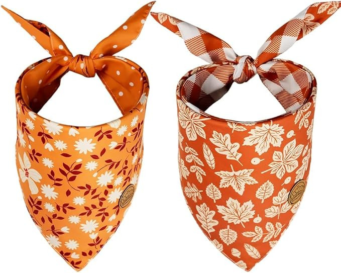 CROWNED BEAUTY Fall Dog Bandanas Reversible Large 2 Pack, Maple Leaves Set, Polka Dots Buffalo Pl... | Amazon (US)