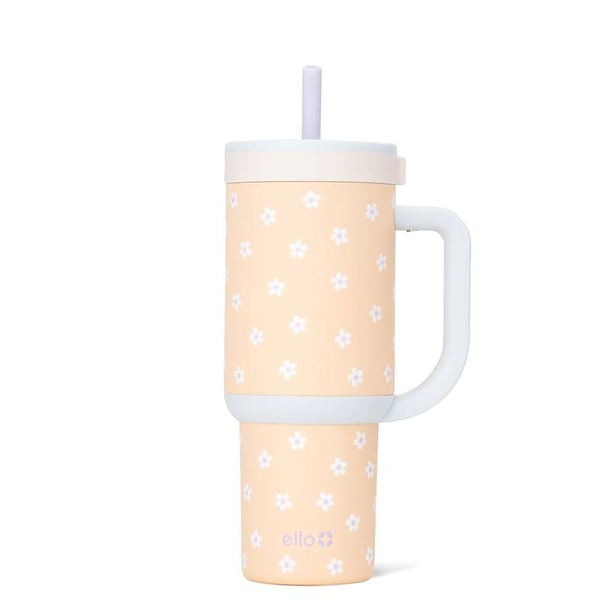 Orange Daisies | Amazon (US)