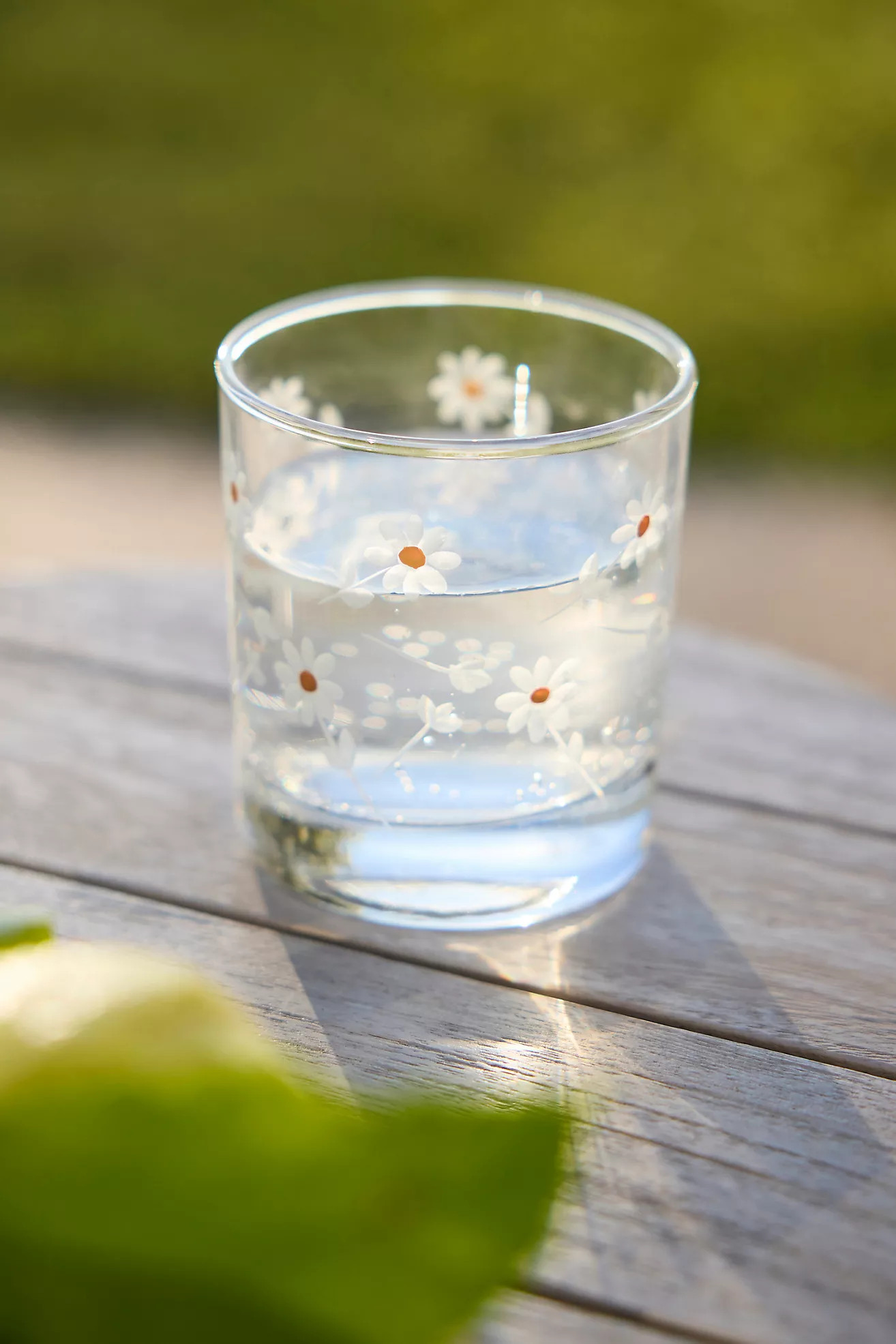 Daisy Etched Tumblers, Set of 4 | Anthropologie (US)