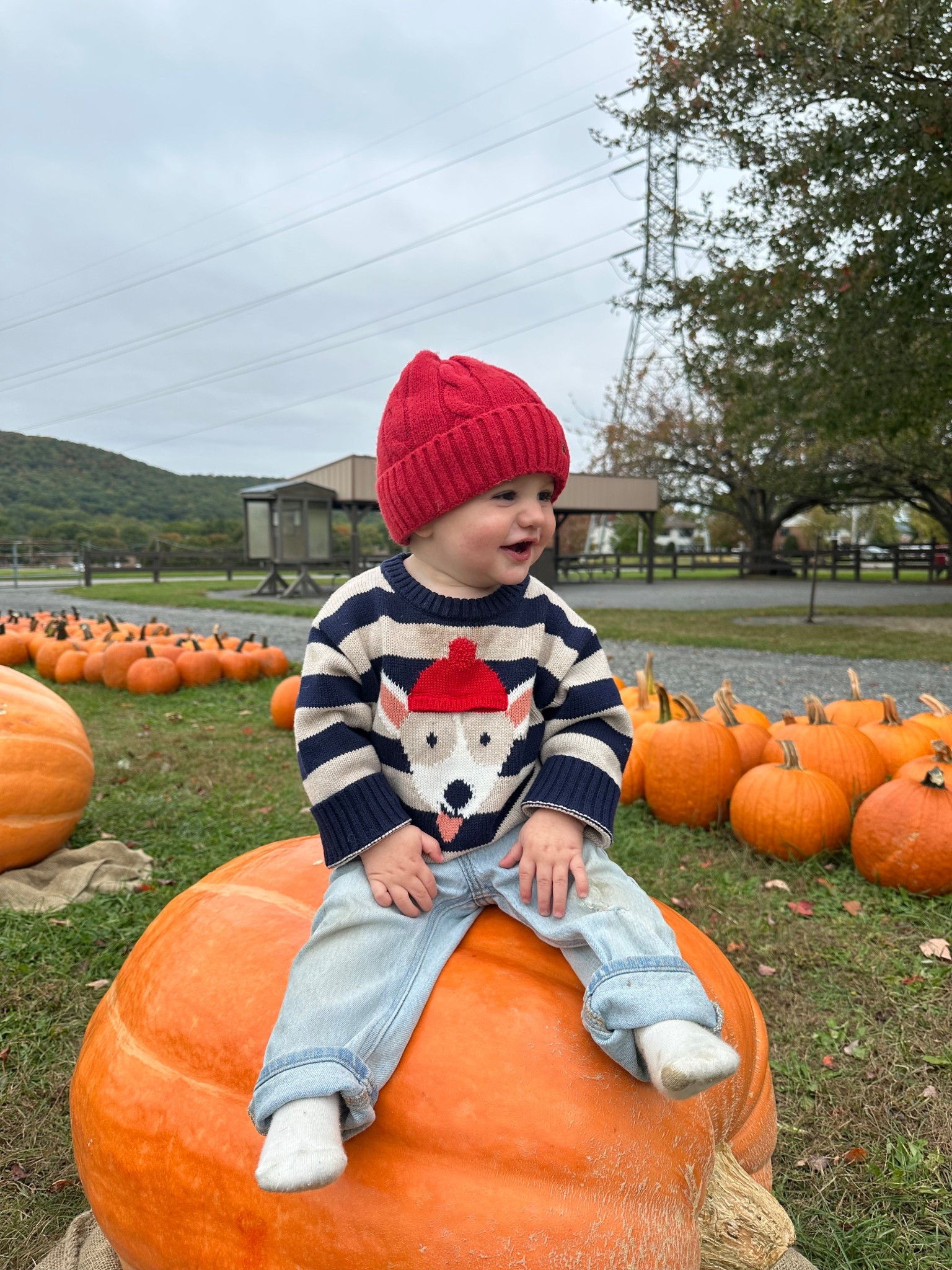 beanie is gap but can’t find it online anywhere!! linked a similar looking one :)