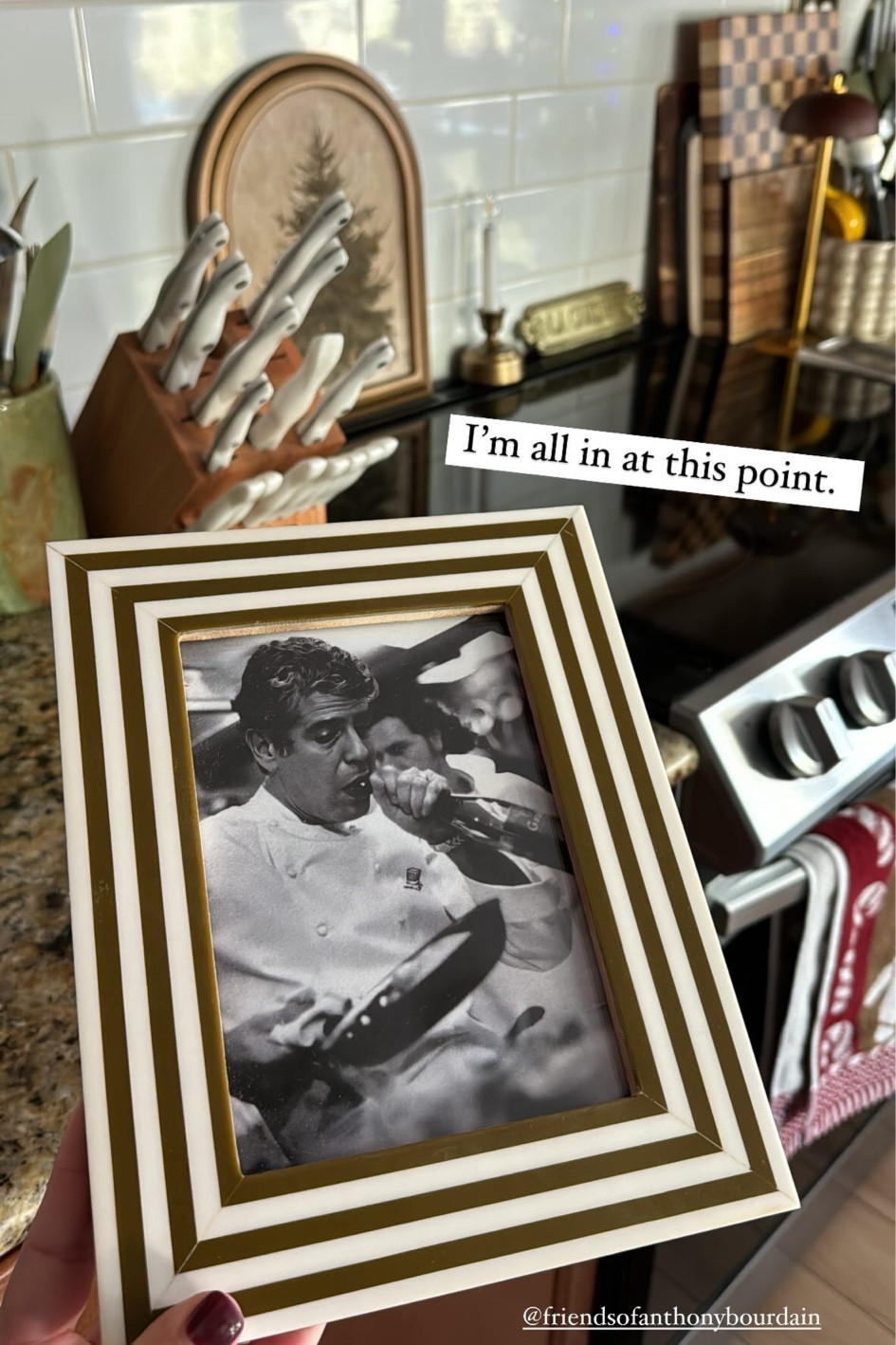 Anthony Bourdain in the kitchen cooking art print + striped brown picture frame , kitchen decor

#LTKHome #LTKGiftGuide #LTKMens