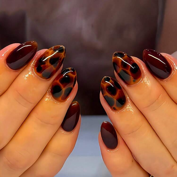 Hot-Selling DouDouJia Autumn And Winter Hot-Selling Amber Gradient Fake Nails, Brown Turtle Back Pattern Wearable Nail Art Patches | SHEIN