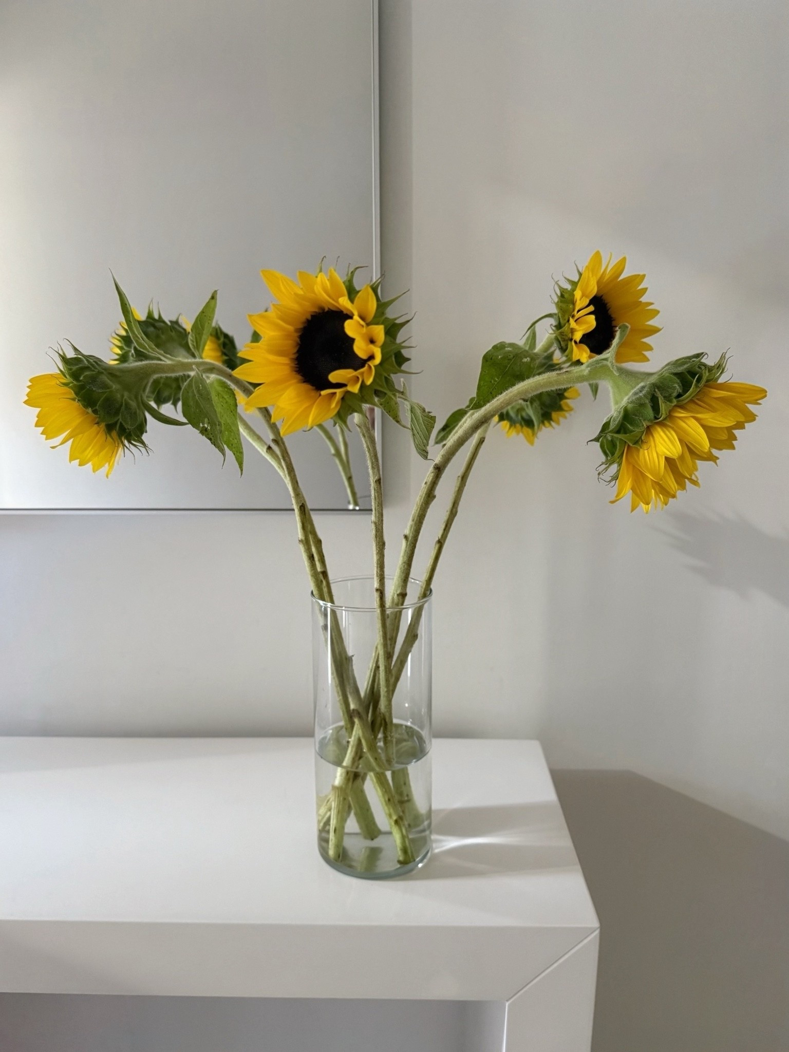 Clear glass cylinder flower vase comes as a set of 3, under $25. I use all the time :)

*these are real sunflowers but faux sunflowers are linked to recreate this all year round

#LTKHome #LTKmomlife #LTKWedding