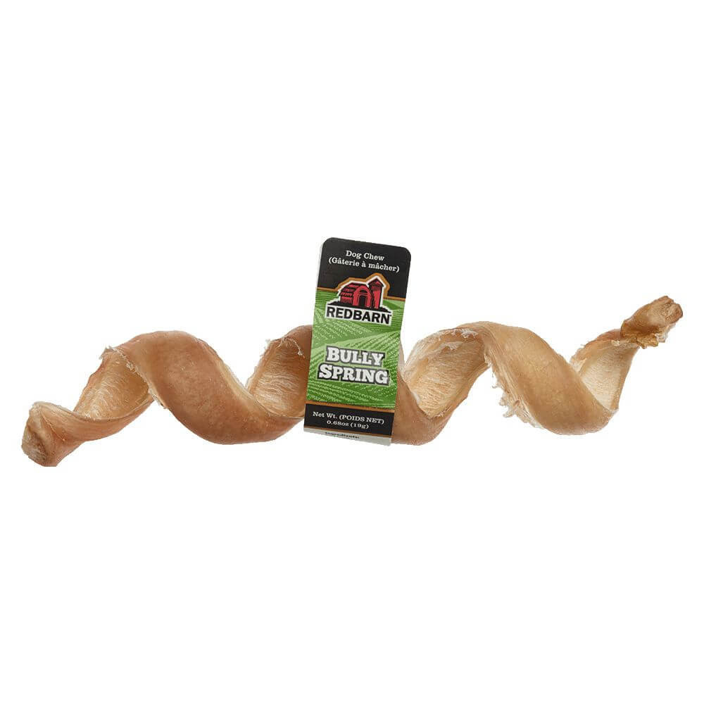 Bully Spring Small/Medium - Case of 25 | Redbarn Pet Products