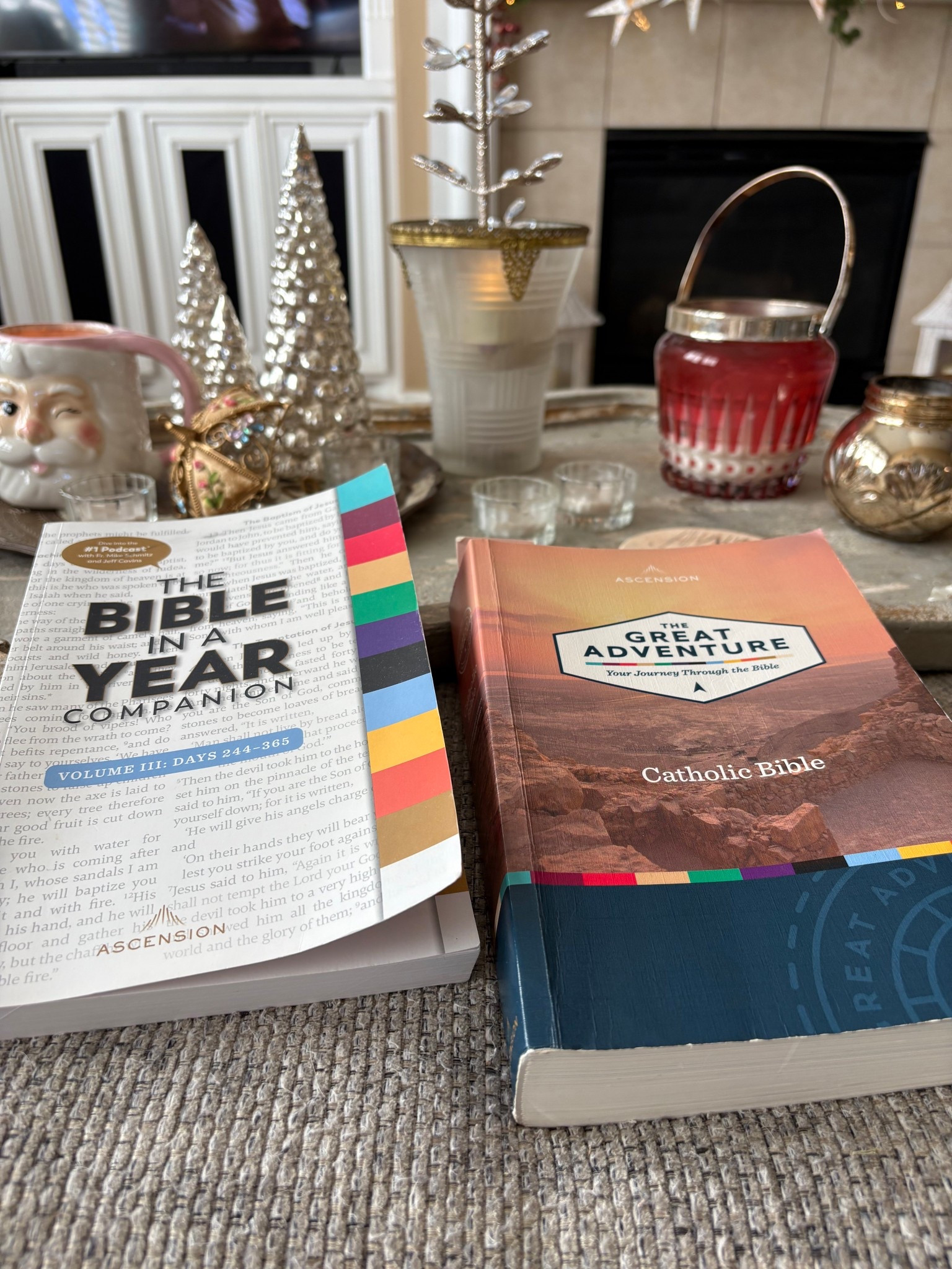 Catholic Bible in a year and companion  

#LTKFindsUnder50 #LTKOver40 #LTKFindsUnder100
