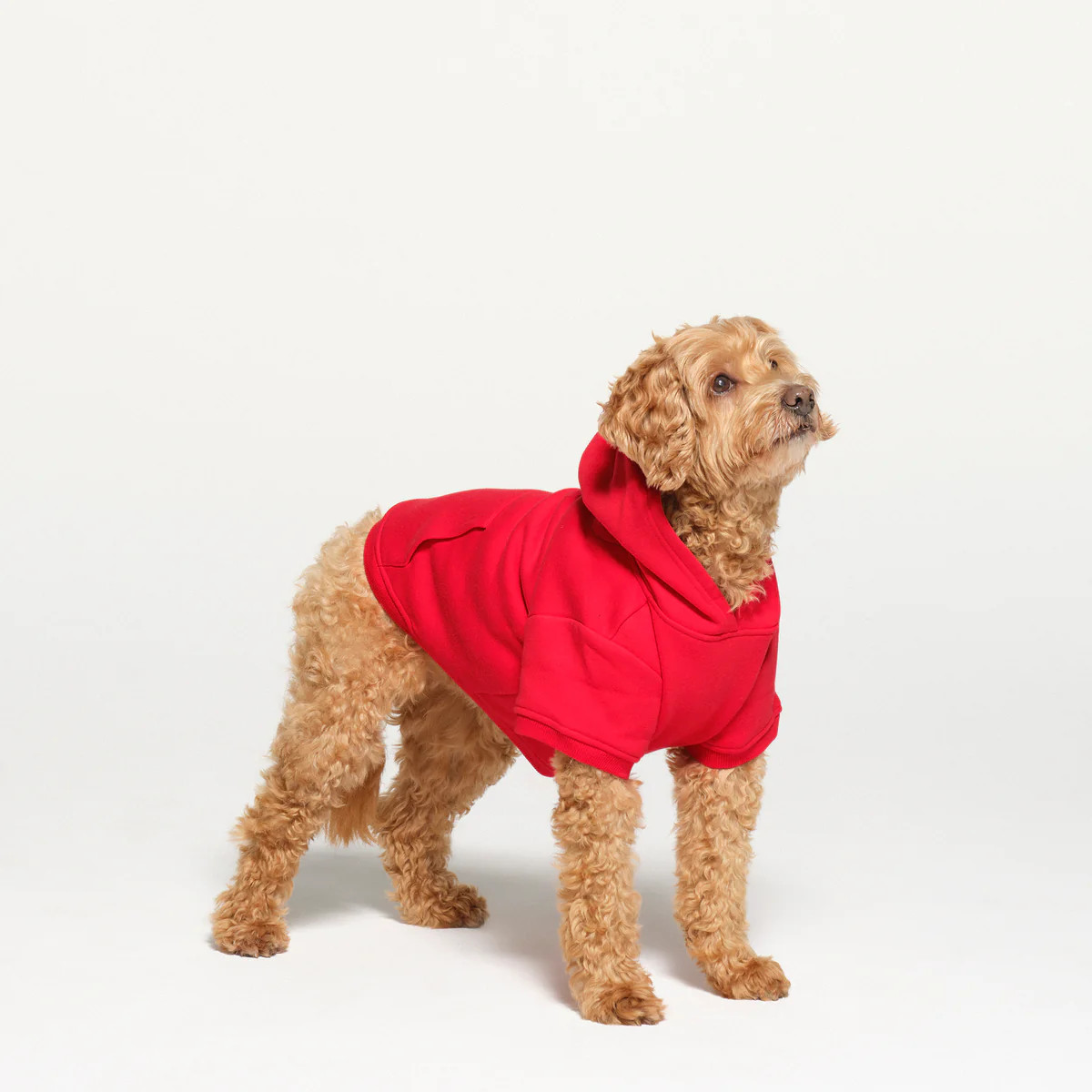 COTTON FLEECE PET HOODIE | RUBY | SKIMS (US)